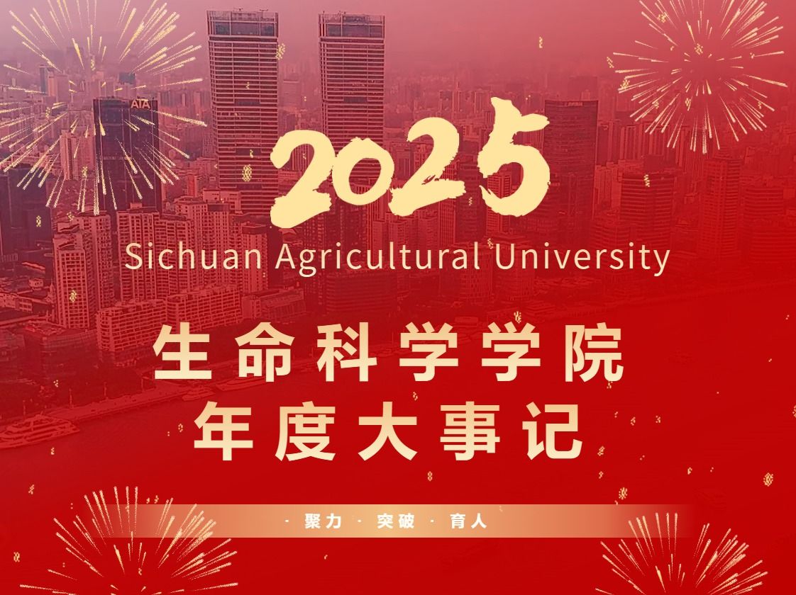 奋楫扬帆 再攀高峰 | 2025年度大事记